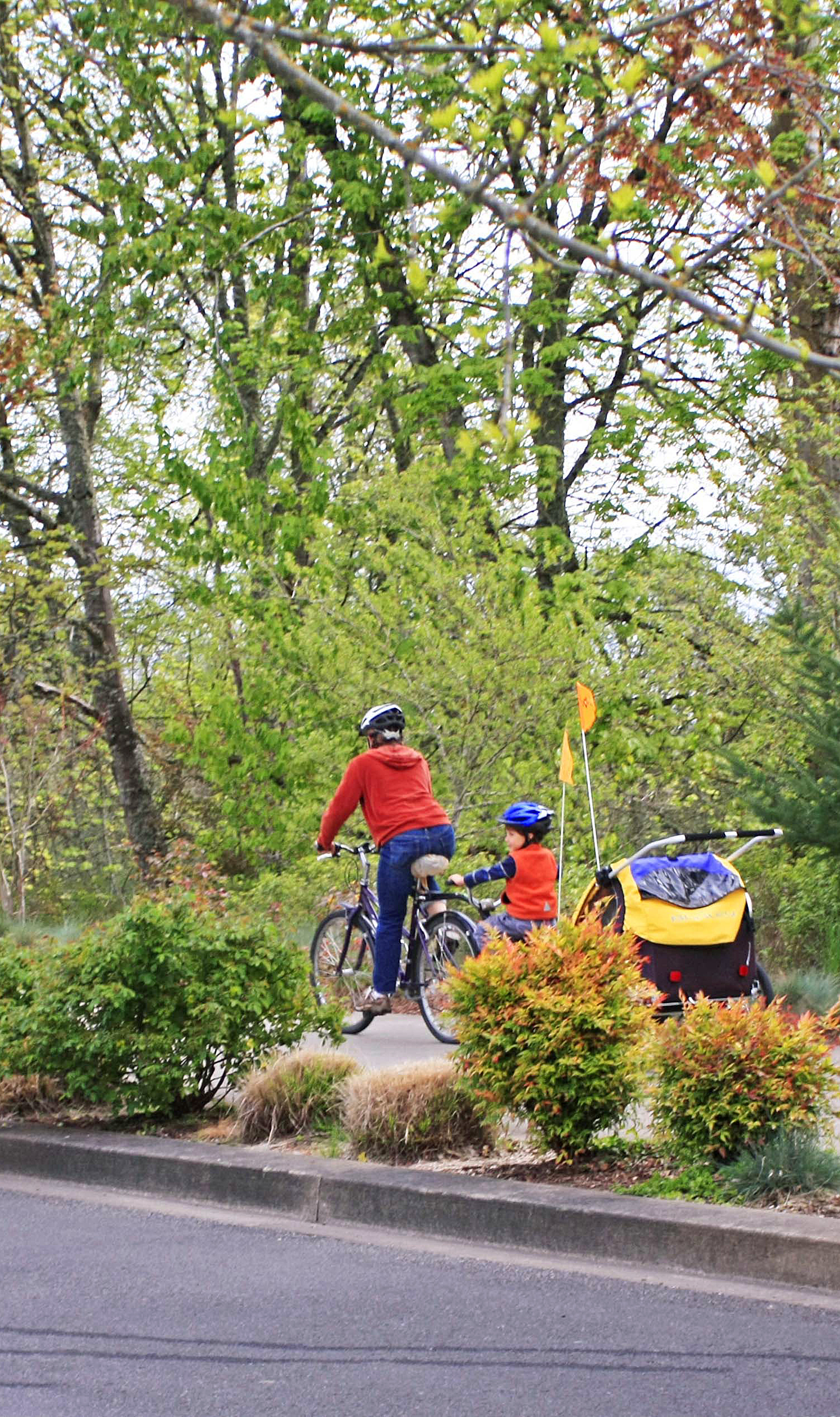 <strong>4. Corvallis, Ore.</strong>
<b>Population: </b>55,678 | <b>Percent Who Primarily Walk/Bike:</b> 22%