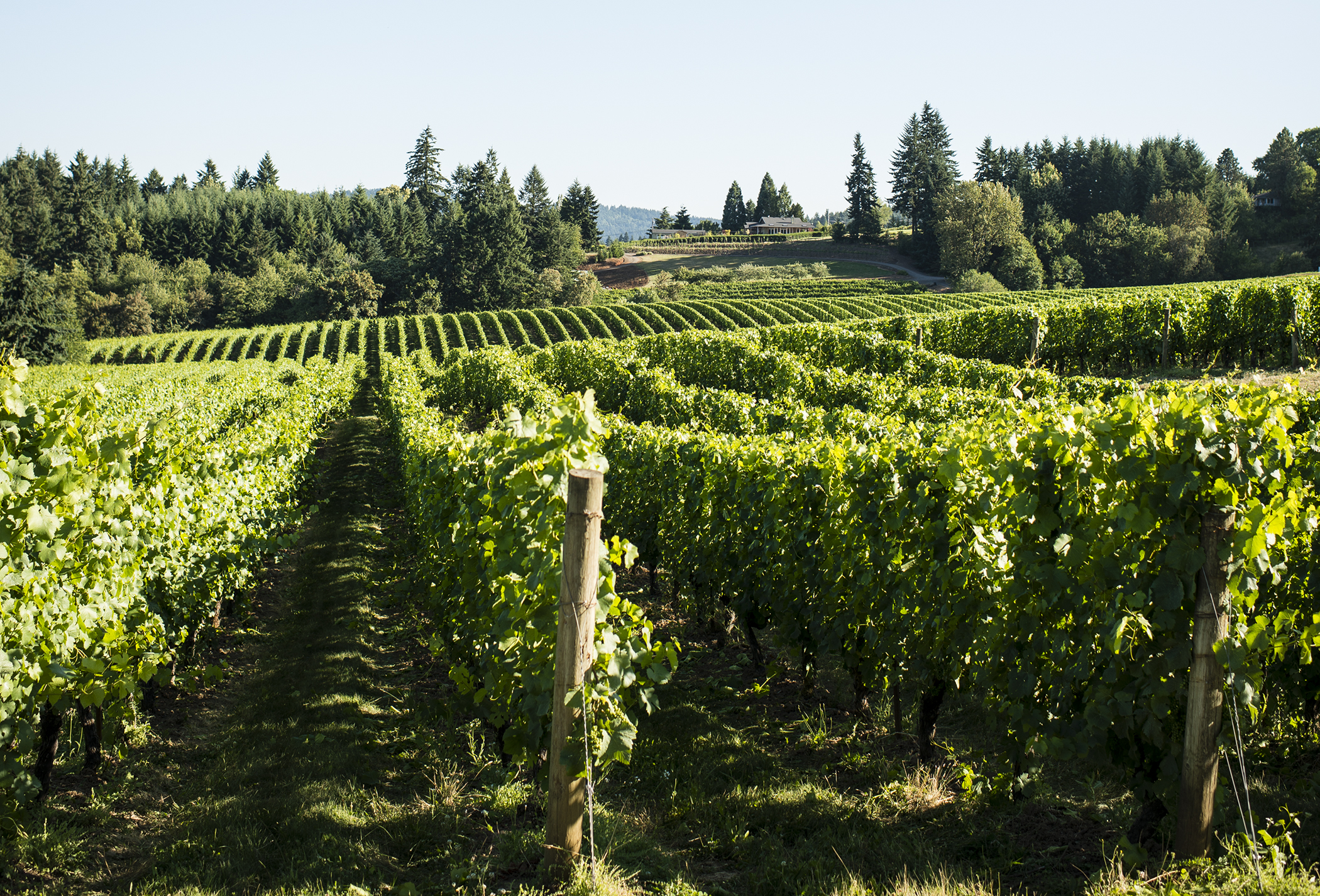 Best Places to Live 2015 Sherwood, Oregon Time