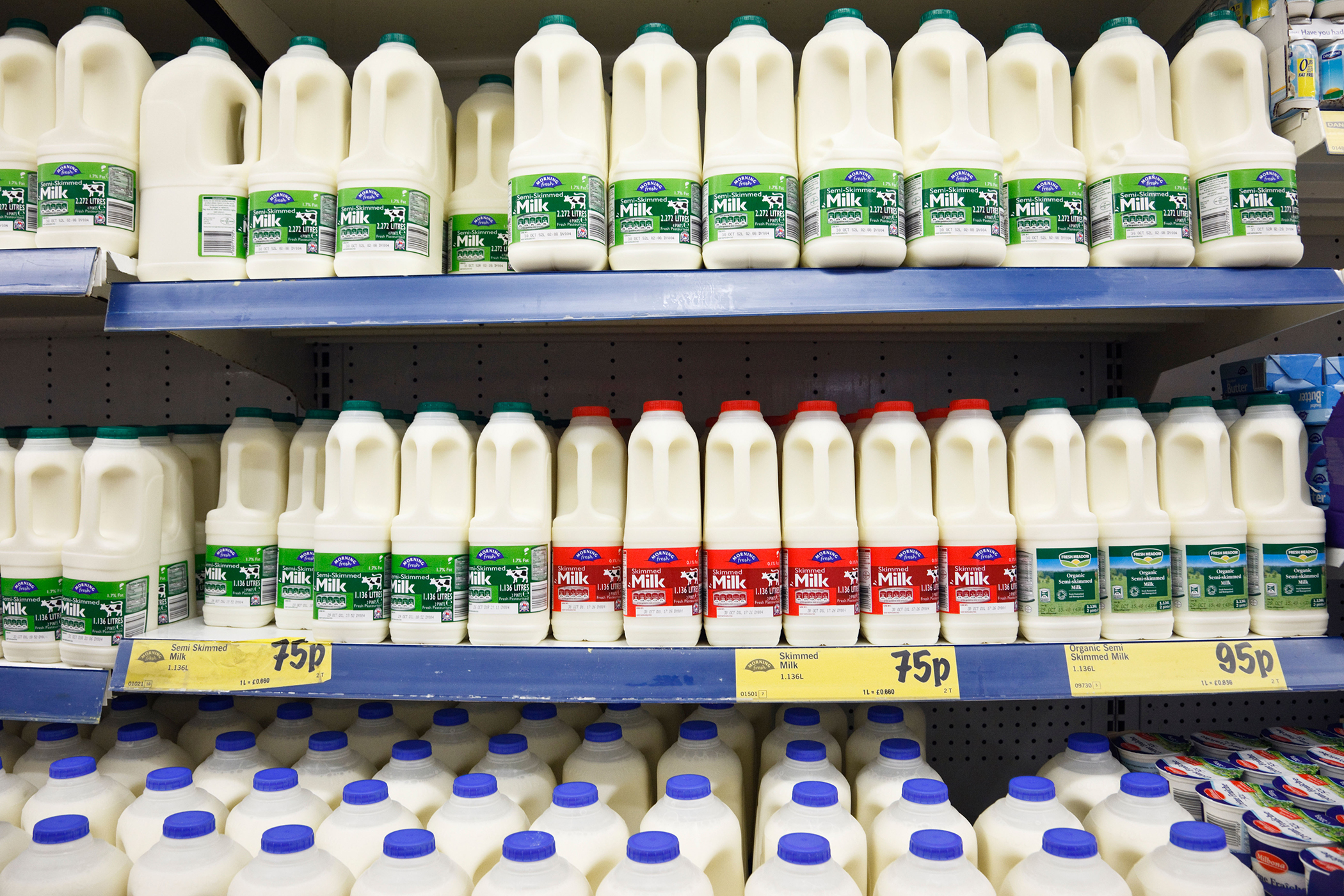 One Litre Milk Price In Usa