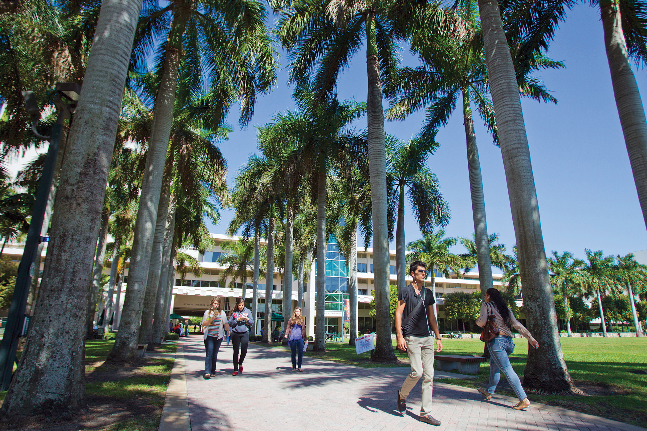 Best Colleges Near the Ocean Warm Weather, Beaches & Books Money