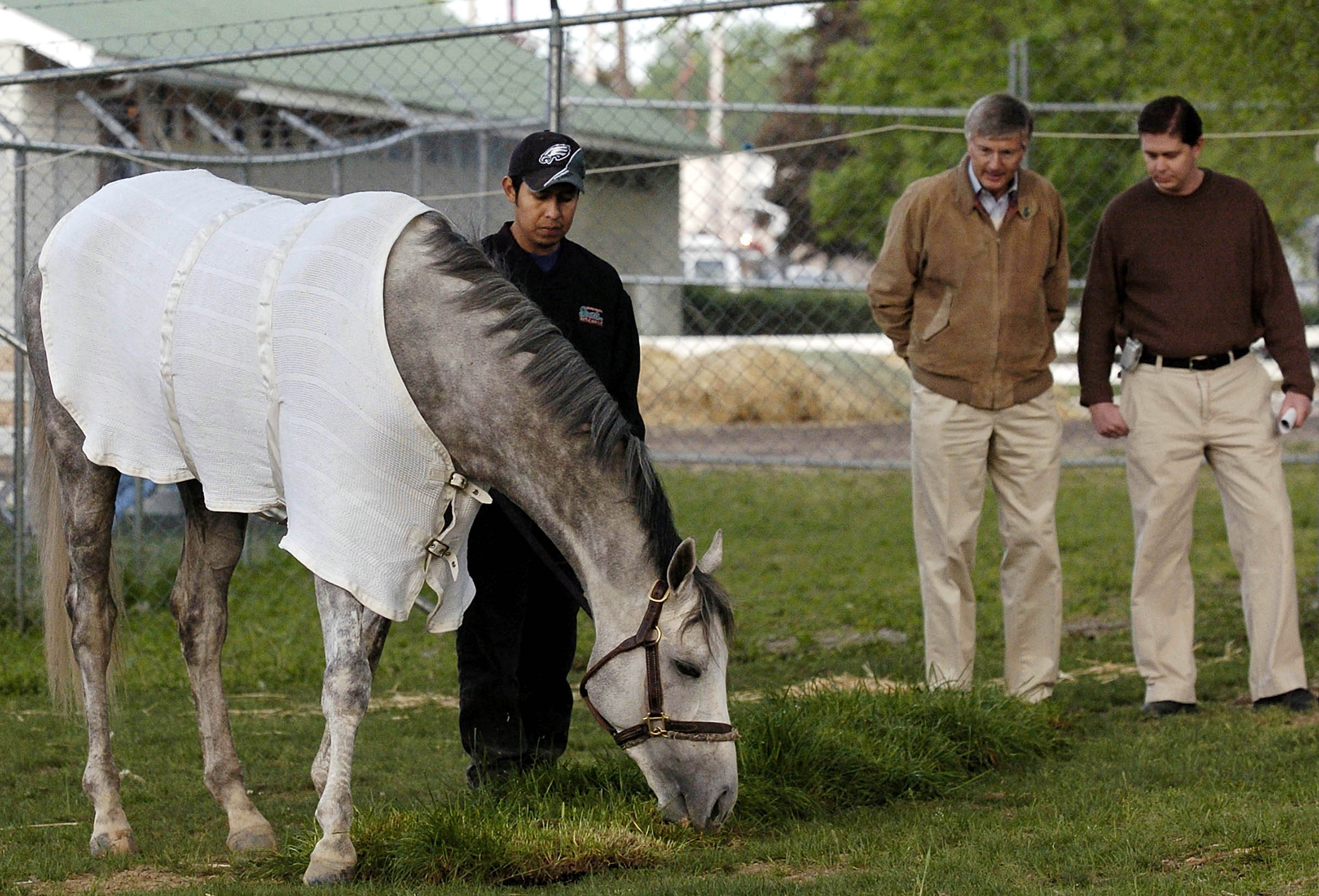 Most Expensive Horses (and Horse Heads) of All Time Money