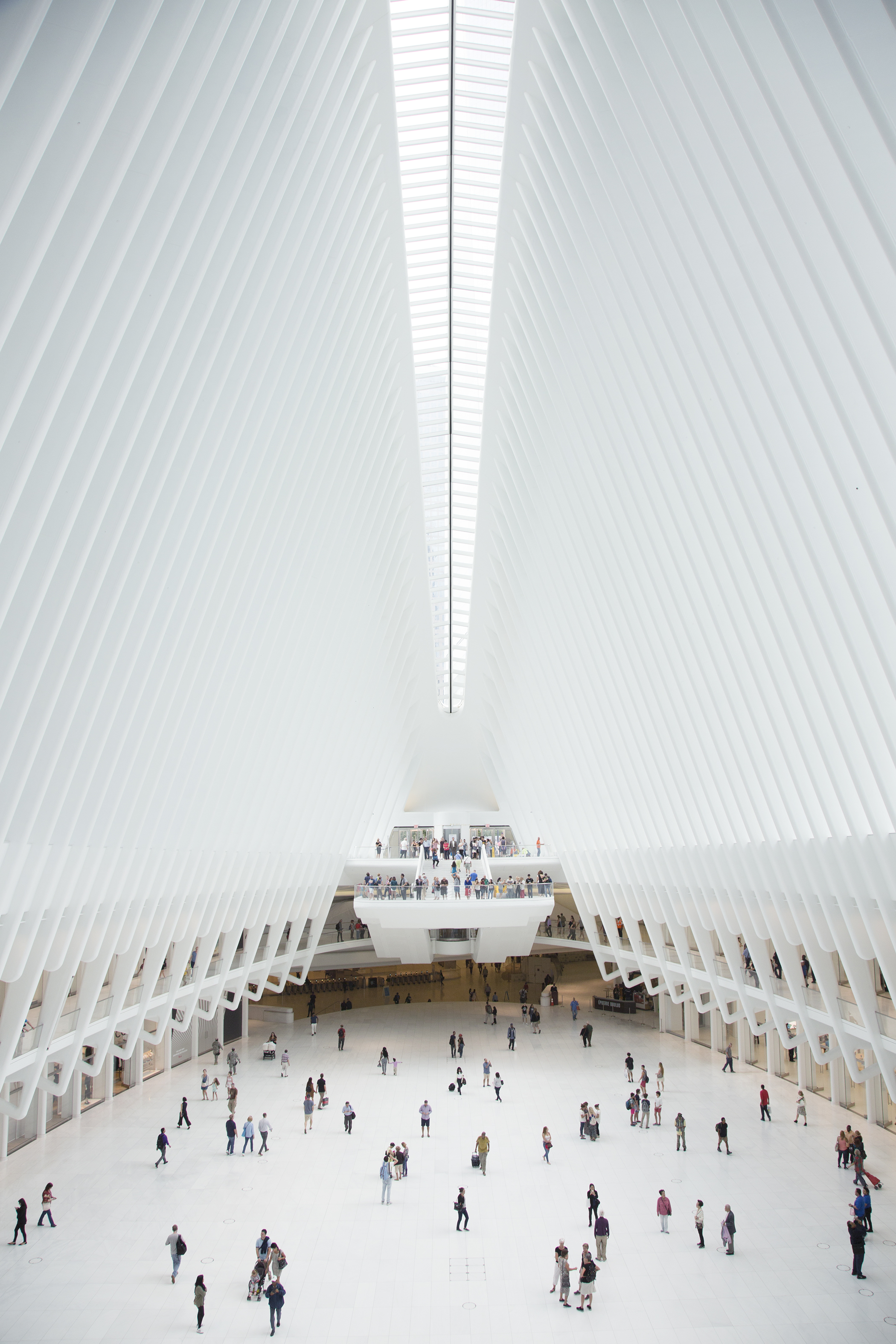 Santiago Calatrava's Oculus design inside of the World Trade Center transportation hub.