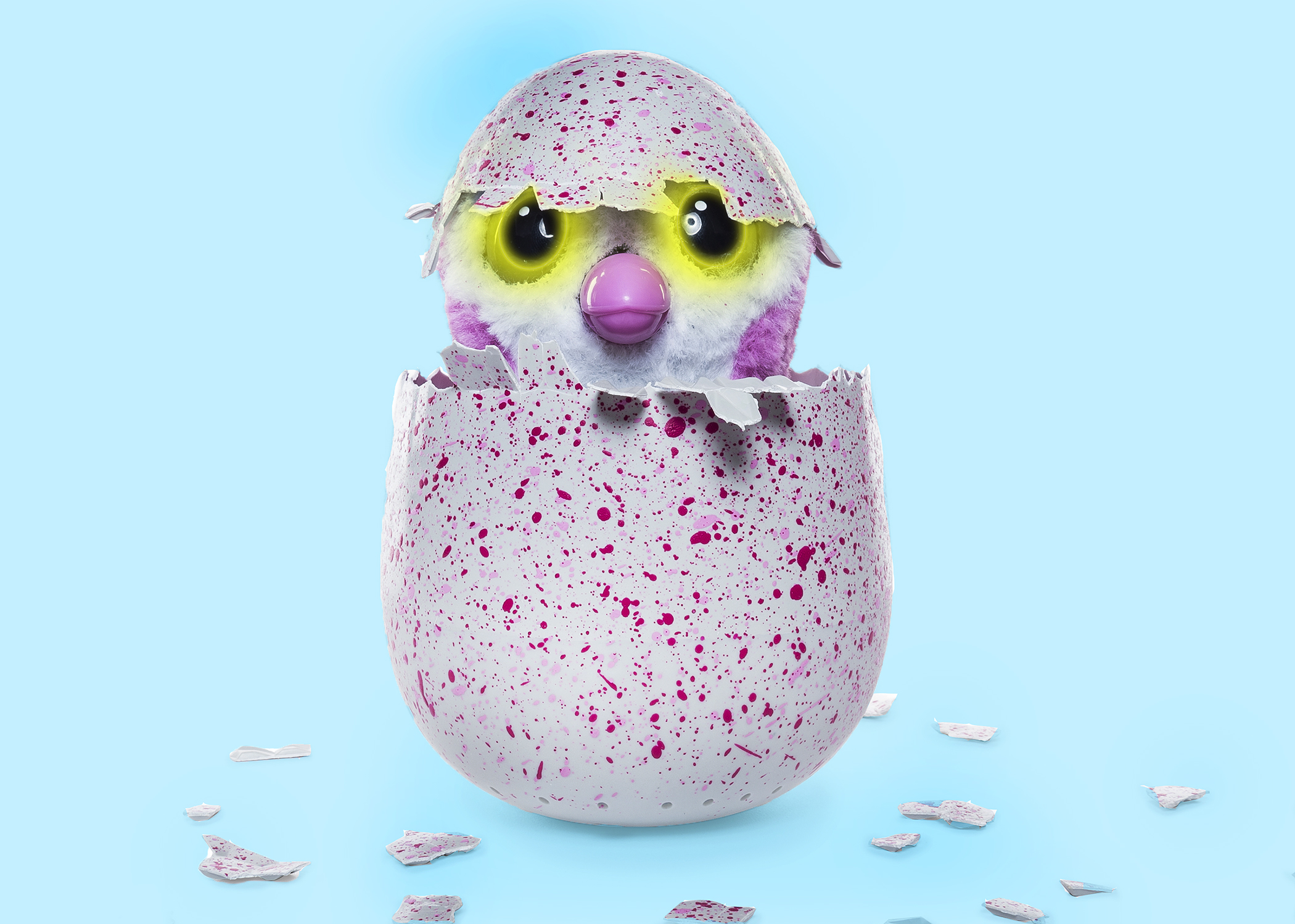 cheap hatchimals for sale