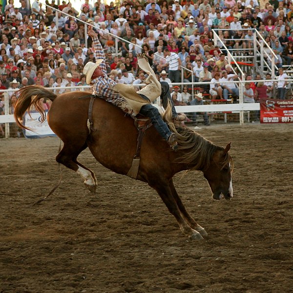 lehi-utah