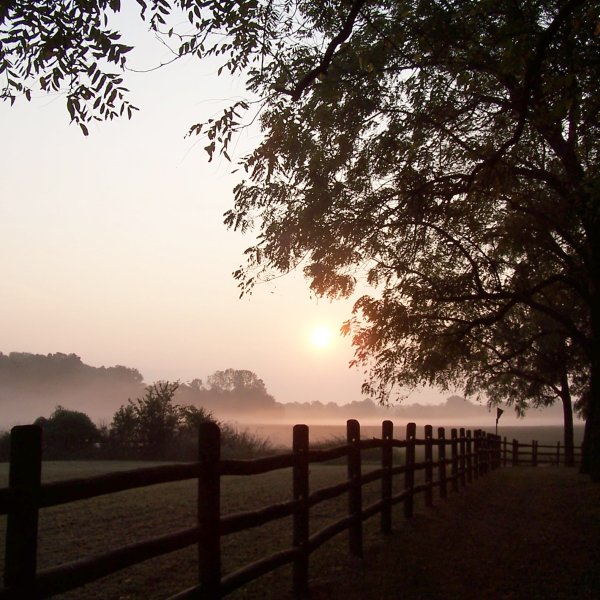 smyrna-tennessee