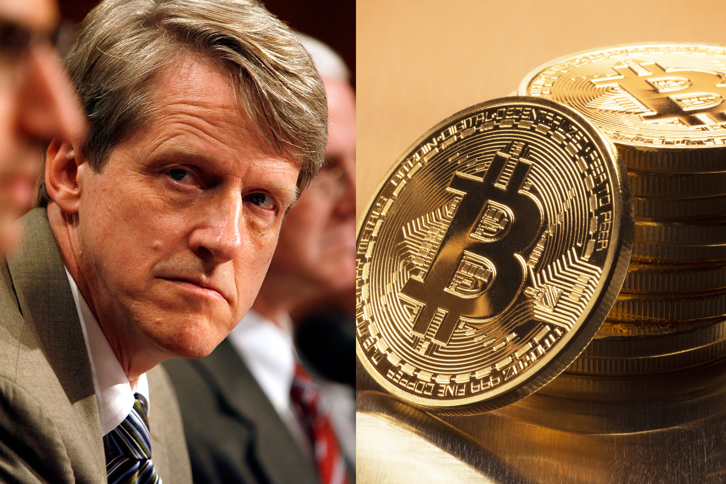 shiller on bitcoin