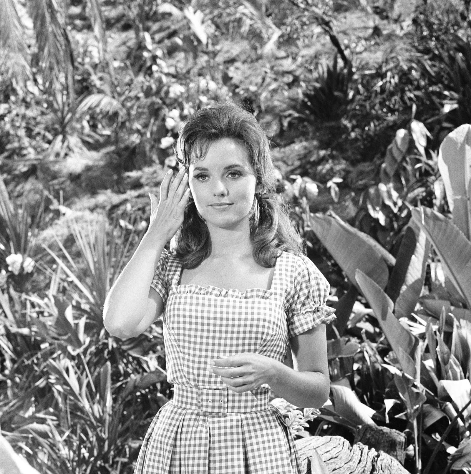 Gofundme For Mary Ann From Gilligan S Island Raises 100 000 Money