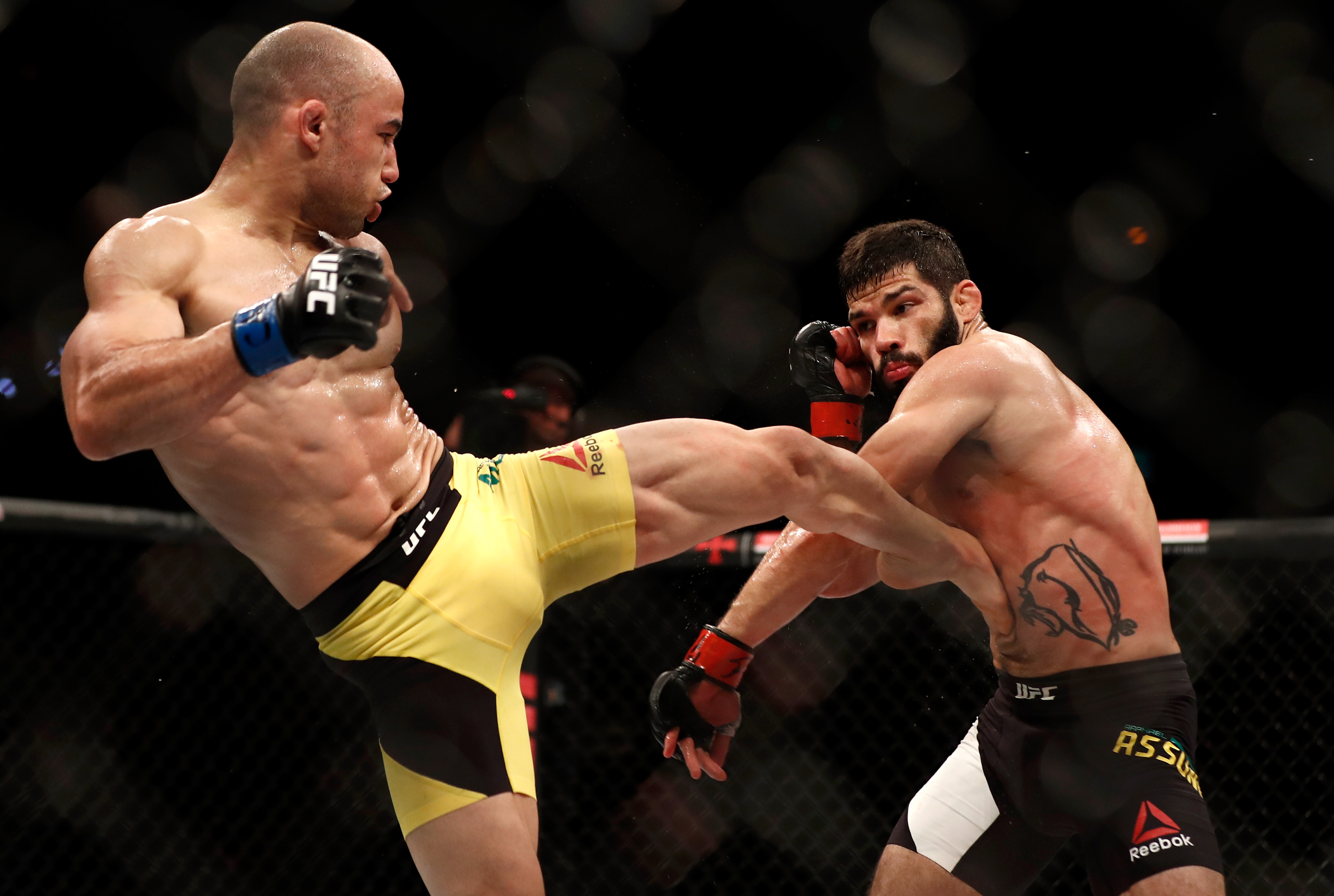 6 Easy Facts About Ultimate Fighting Championship (UFC) Explained