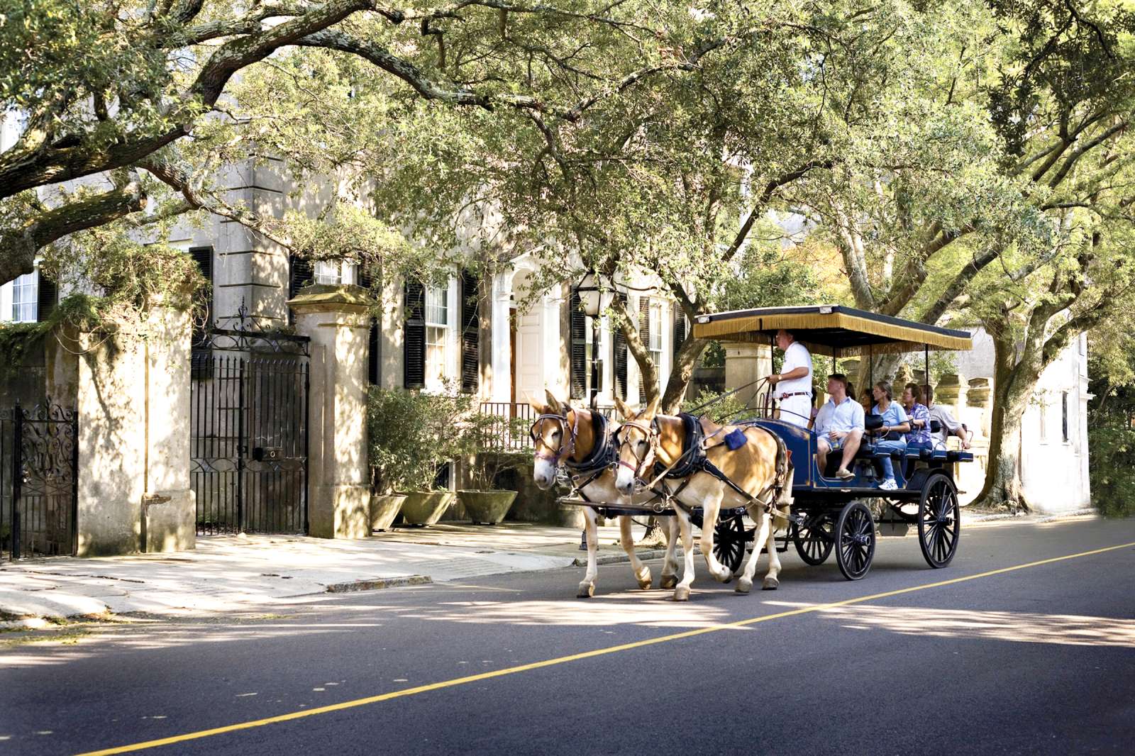 Charleston, South Carolina: Best Places to Live in U.S. | Money