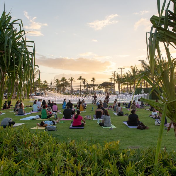 Crowd doing yoga in a park at sunset in Kakaako, Honolulu, Hawaii