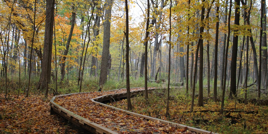 vernon-township-illinois