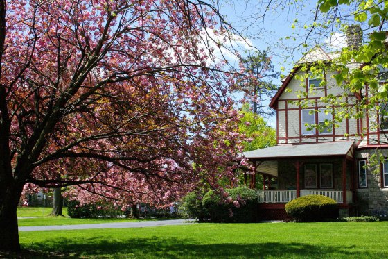 Best Cities to WFH