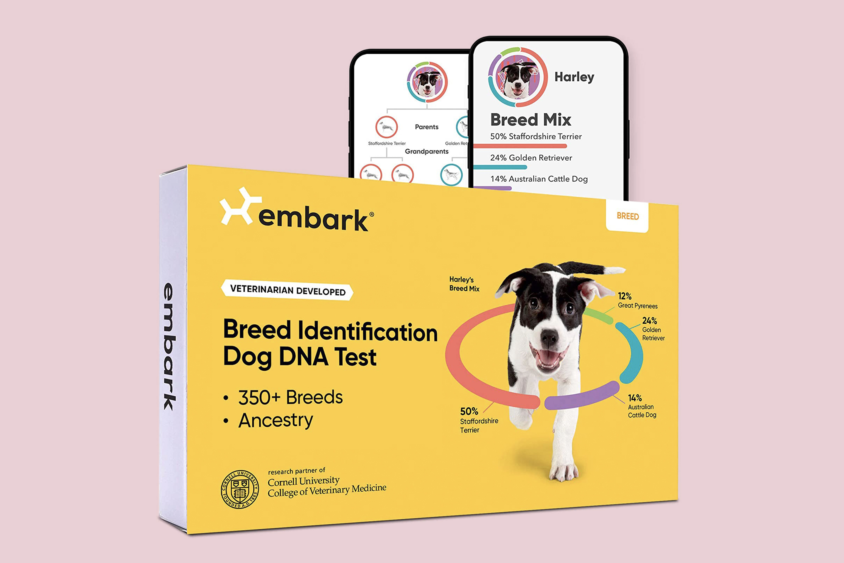 Best Dog DNA Test Kits for 2021 by Money | Money