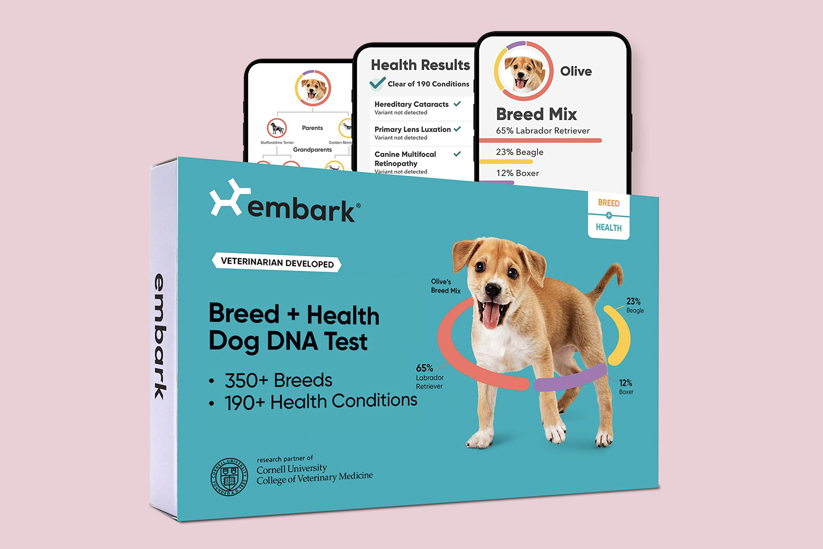 Embark Dog DNA Test copy
