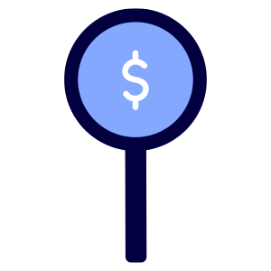 icon of a magnifying glass with a money sign