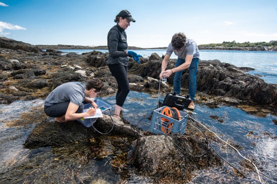 Bowdoin College, Earth and Oceanographic Science Student Ocean Lab