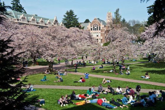 Groups of students enjoying a beautiful sunny day at The University of Washington Seattle campus