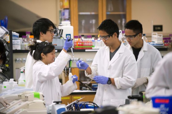 Students during a laboratory class